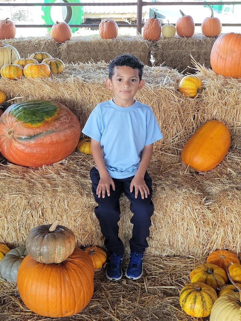 Dutch Hollow Farms