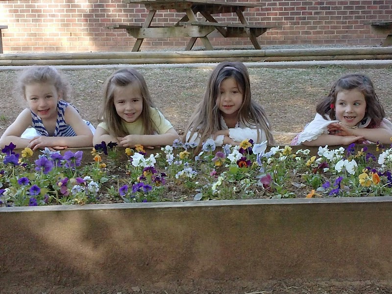 Montessori Farm School — Easter Holiday Activities in Durham