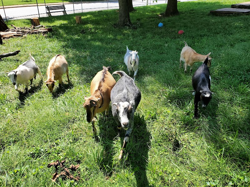 The Goat House Farm
