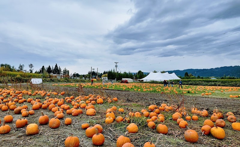 Bella Organic Farm — Halloween Kids Activities in Portland