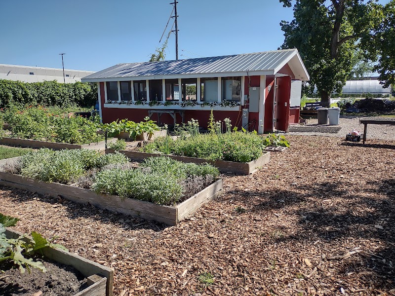 The Talking Farm — Farms and Agritourism in Chicago