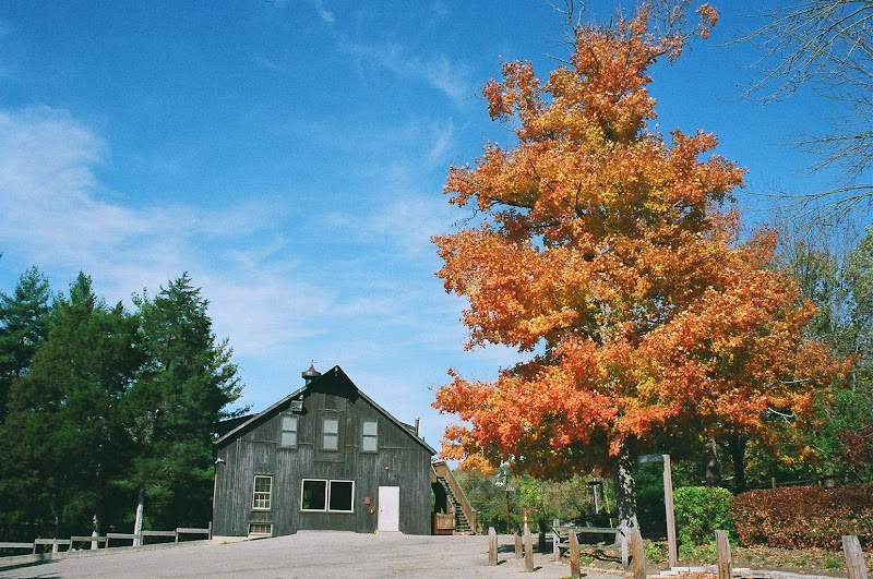 Stepping Stones, Inc. — Summer Camps in Cincinnati
