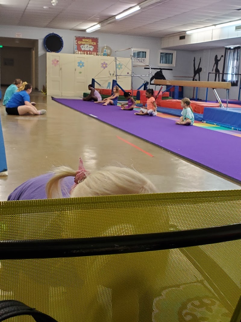 Wings Gymnastics — Indoor Gymnastics in Memphis