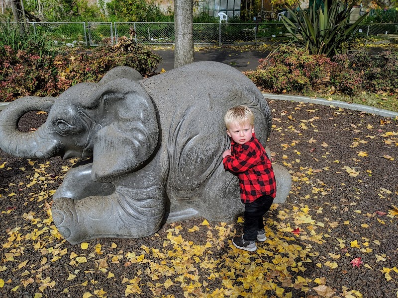 Neil Papiano Play Park