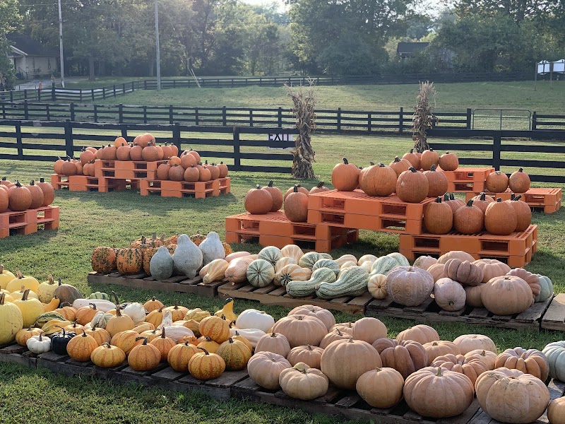 Pendleton Farms — Petting Zoos in Louisville
