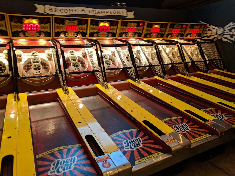 Joey the Cat's Arcade