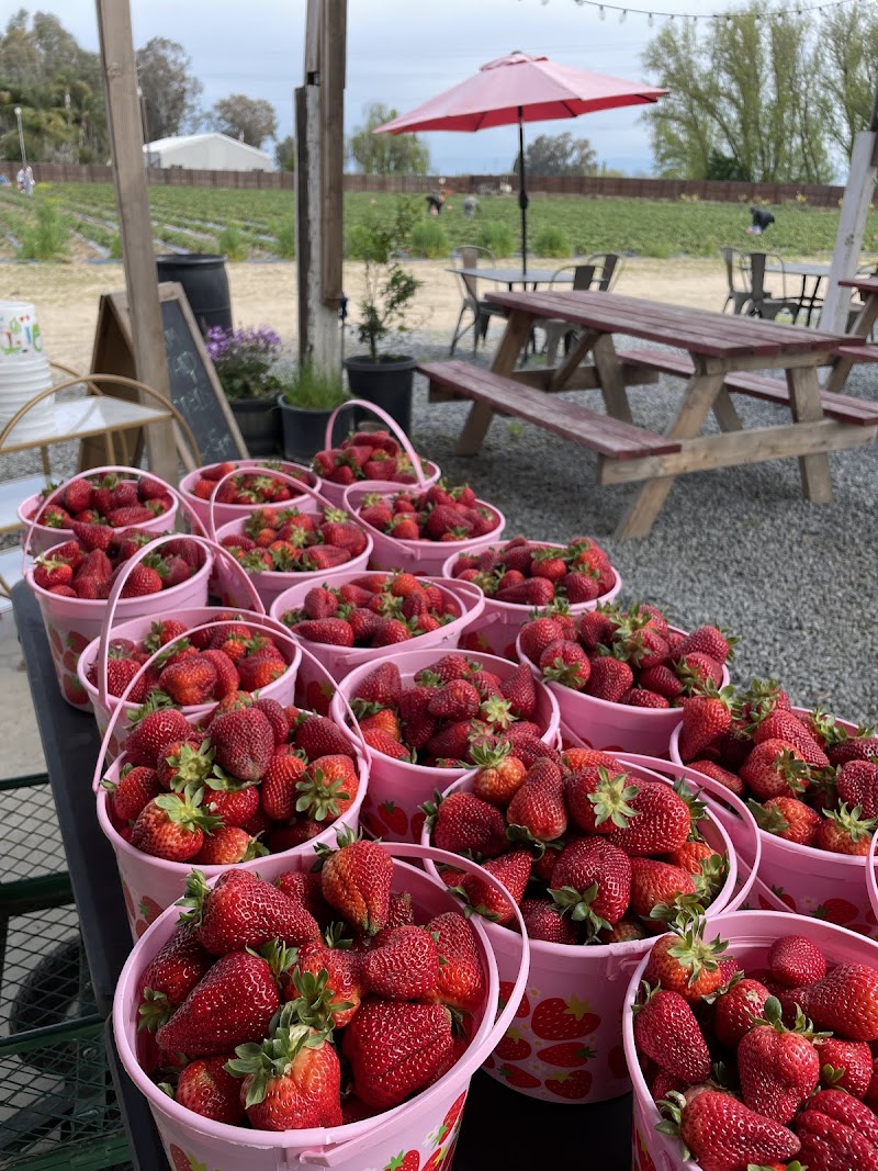 Sunshine’s Farm — Fall Festivals in Fresno