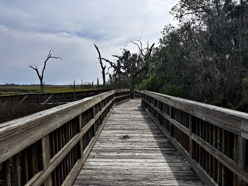 Cradle Creek Preserve — Hiking with Kids in Jacksonville