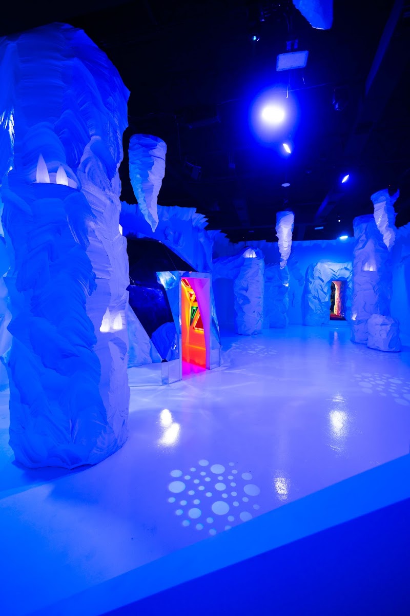Wonder Chamber