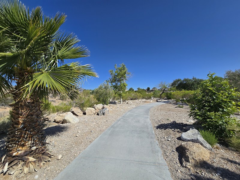 Cottonwood Canyon