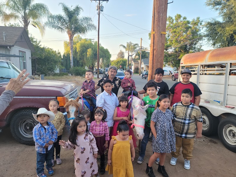 My Little Pony Rides — Petting Zoos in San Diego