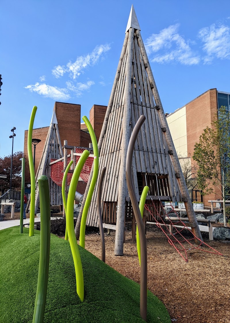 Adventure Play Area — New Year's Eve Kids Activities in Baltimore