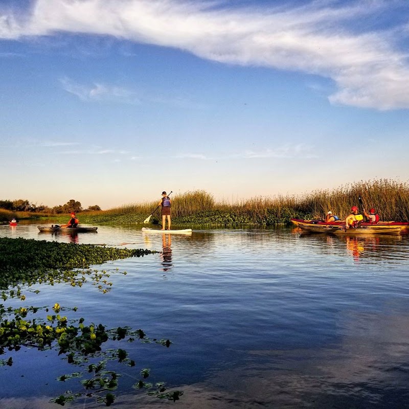 Delta Kayak Adventures