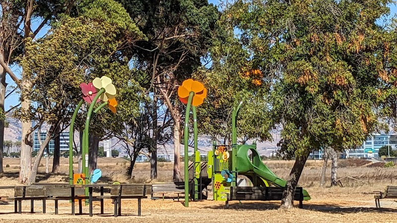 Play Structure — Thanksgiving Activities for Kids in Sunnyvale