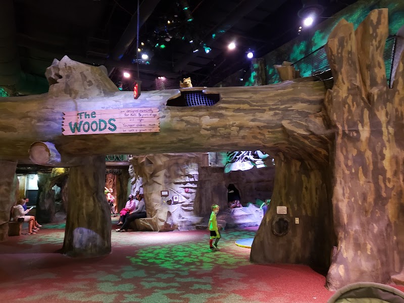 The Children's Museum
