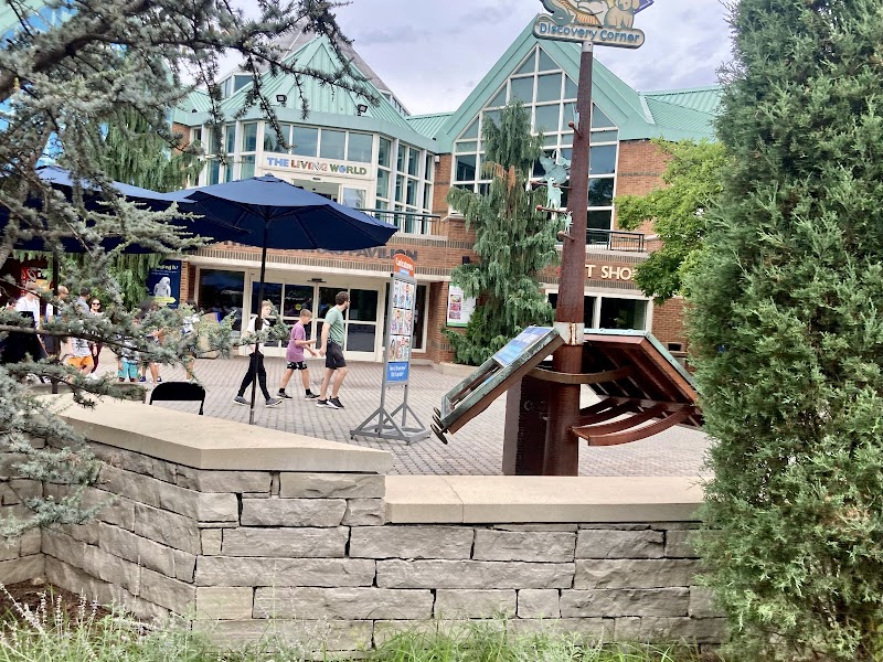Discovery Corner
