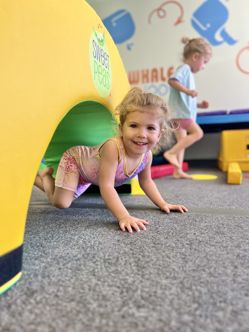 Little Whale Tumble School — Indoor Gymnastics in Sacramento