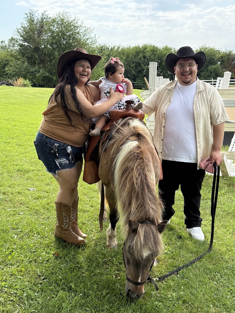 Party with a Pony — Petting Zoos in Madison