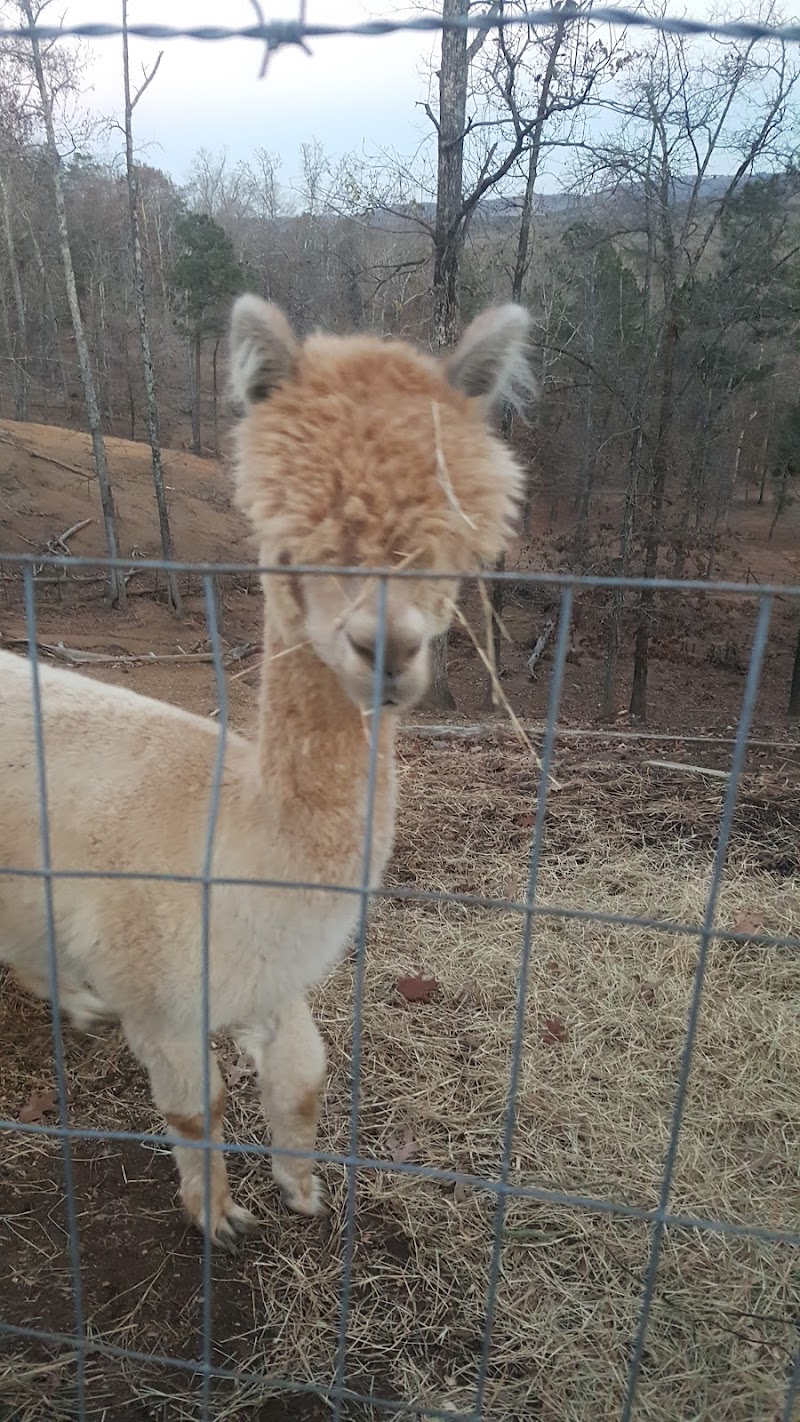 Shar-Itt Petting Farm