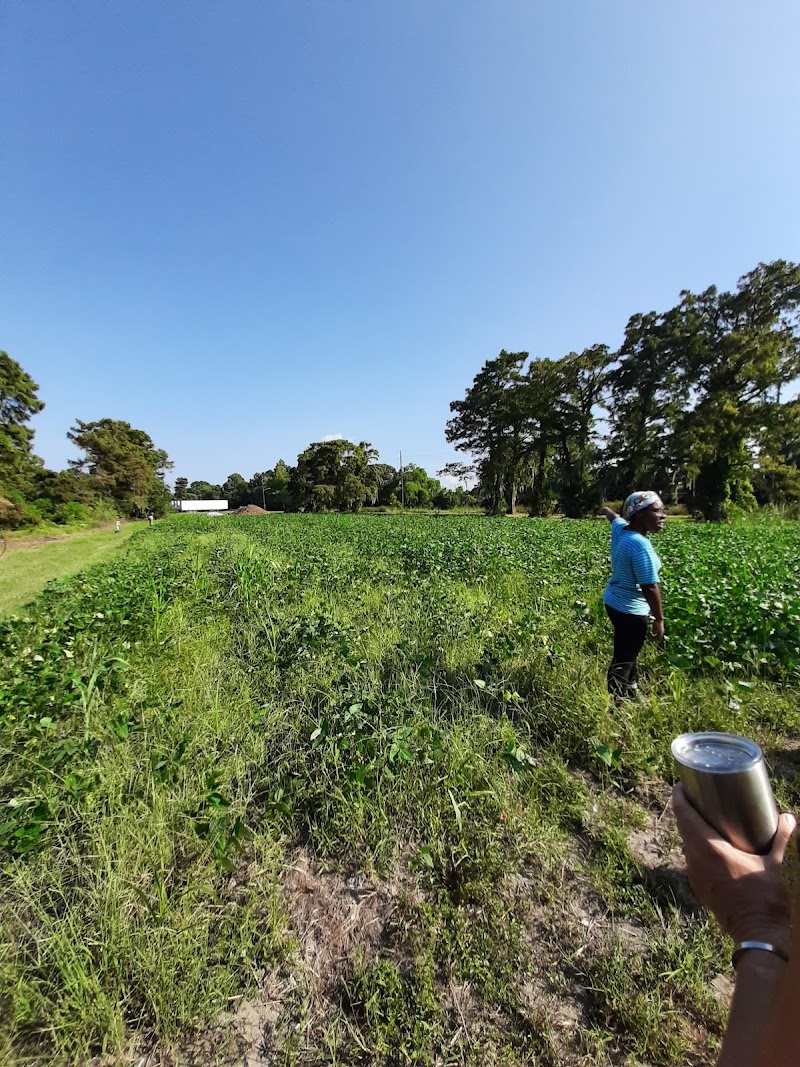 Grow Dat Youth Farm