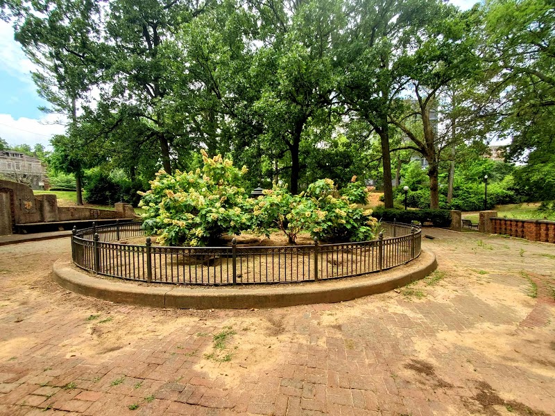 Rufus Rhodes Park