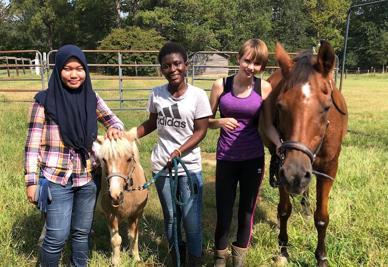 Planet Peace Farm — Fall Festivals in Raleigh