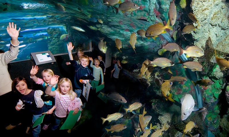 Discovery World's Reiman Aquarium — New Year's Eve Kids Activities in Milwaukee