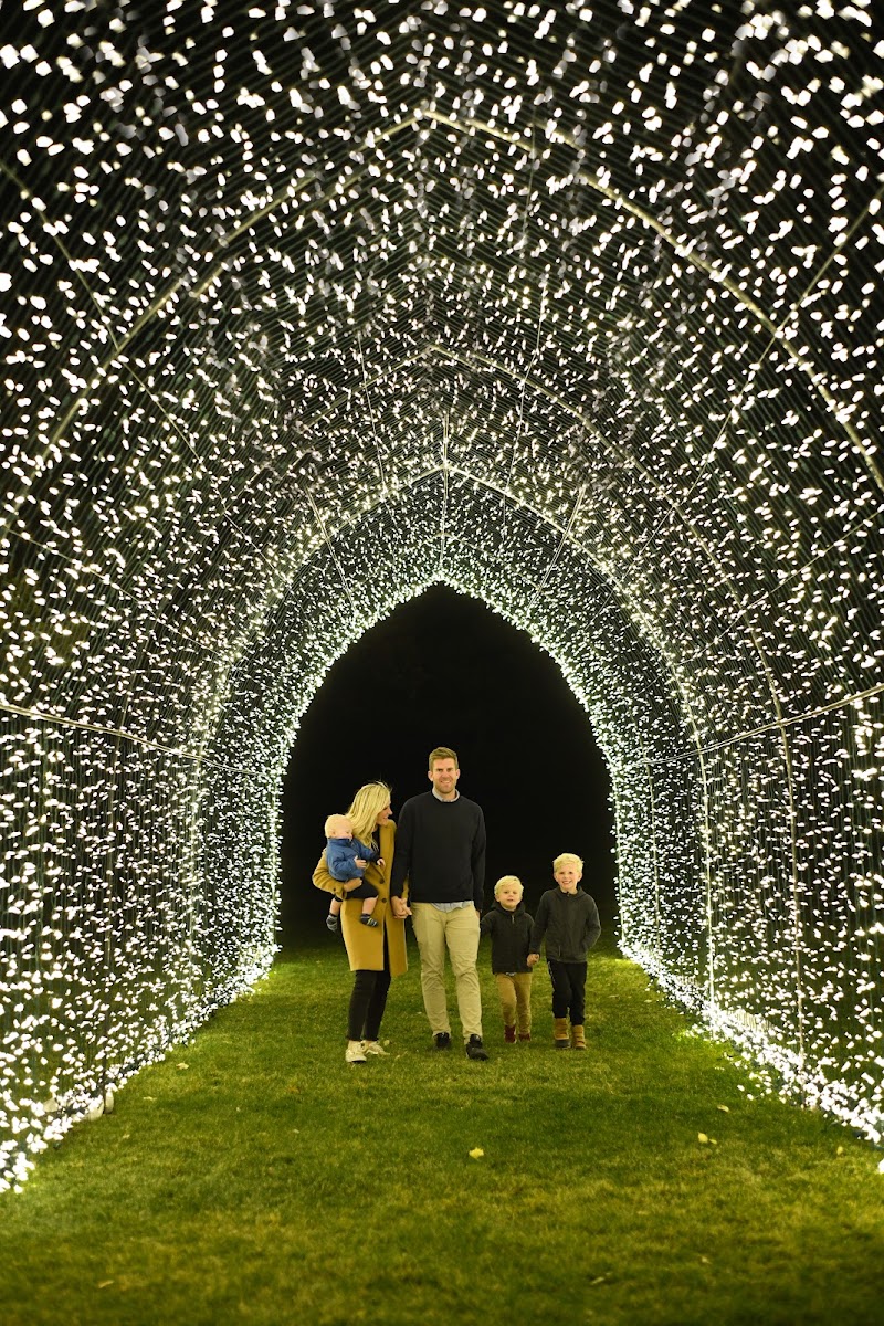 Lightwalk at Tracy Aviary
