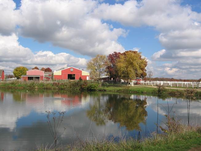 Winton Woods Farm & Equestrian Center