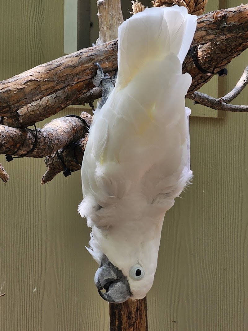 Lacerte Family Children's Zoo — Zoos for Kids in Fort Worth