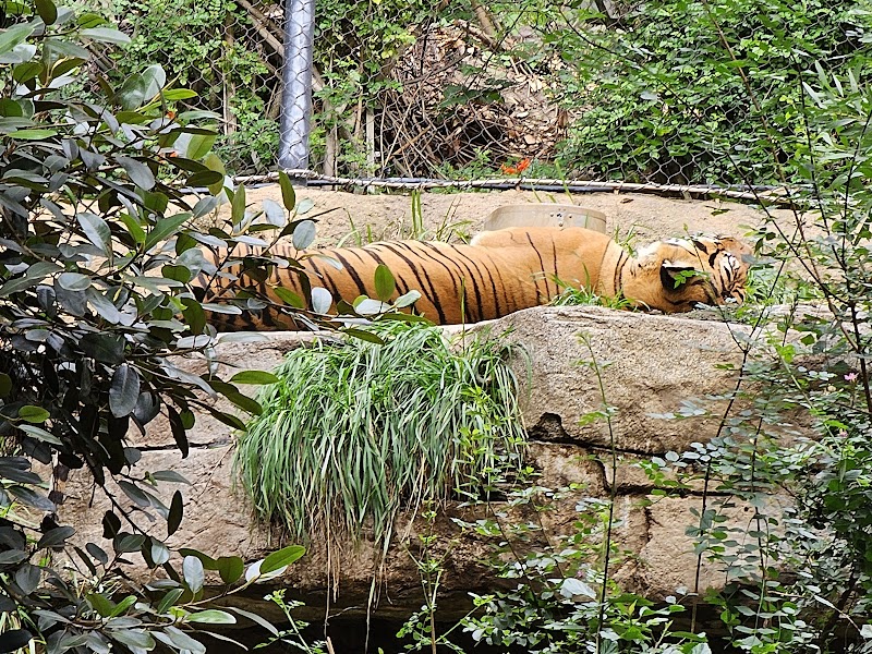 Lost Forest — Petting Zoos in San Diego