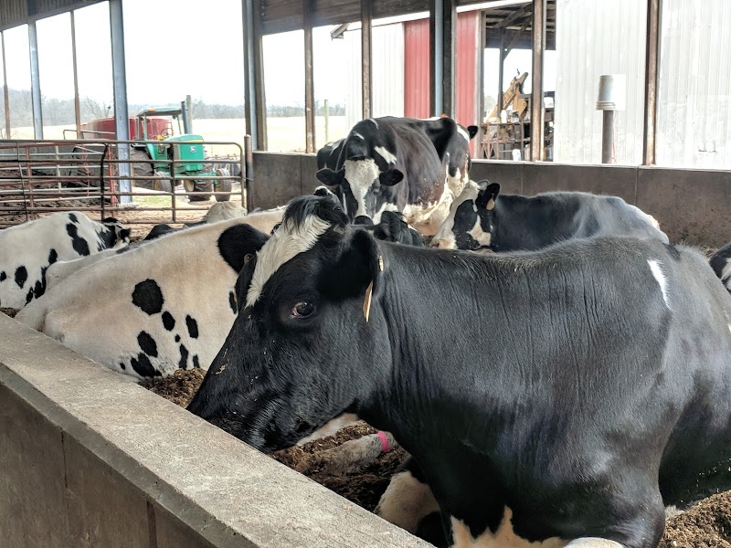 Harvest Home Dairy Farm