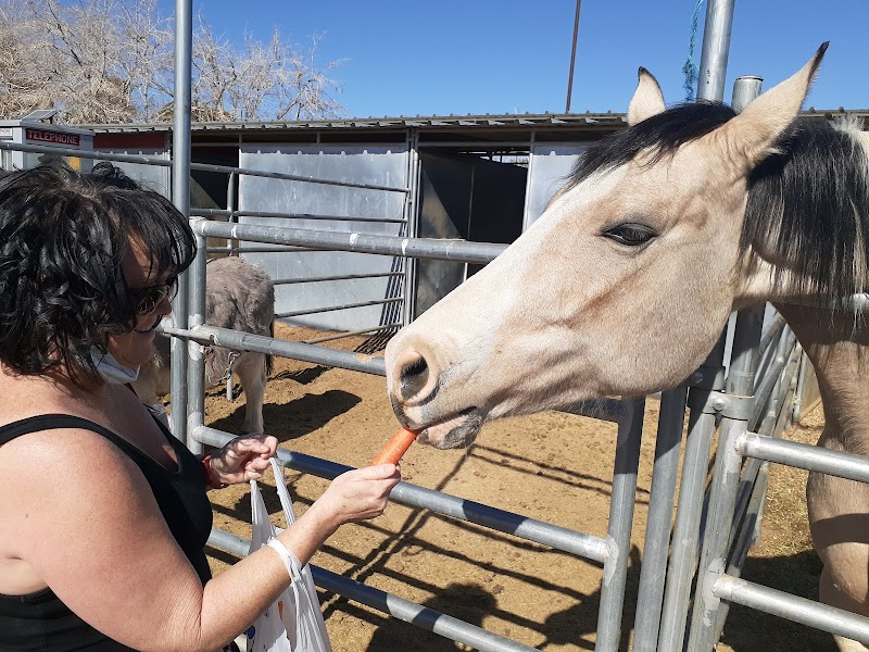 McKee Ranch Foundation