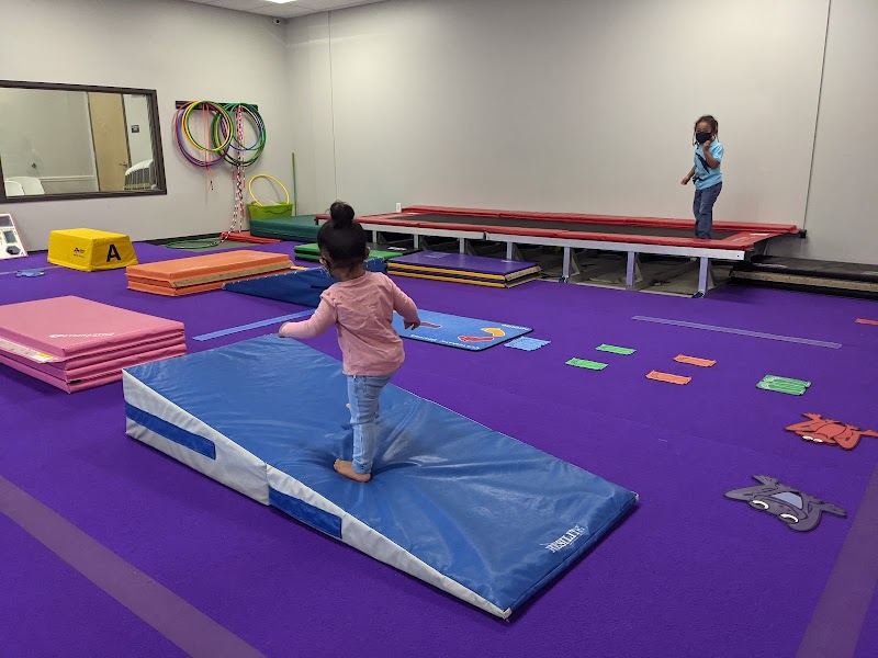 Carolina Stars Gymnastics