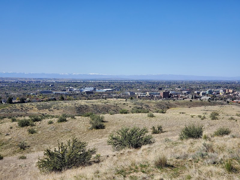 The Military Reserve