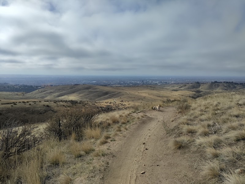 Shane's Trail — Hiking with Kids in Boise