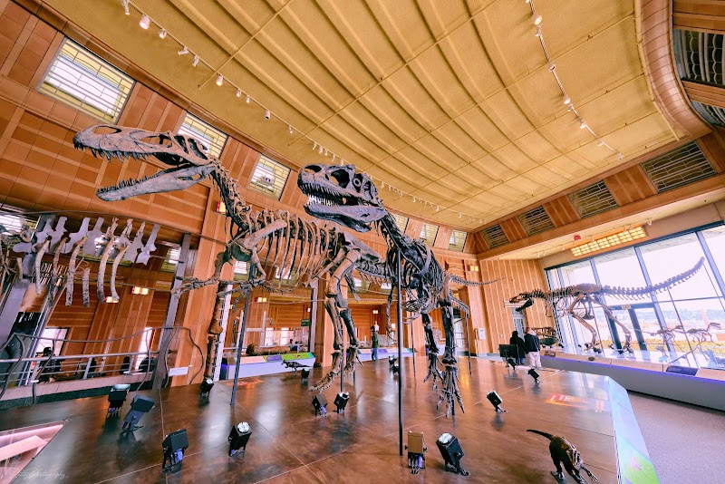 Museum of Natural History & Science