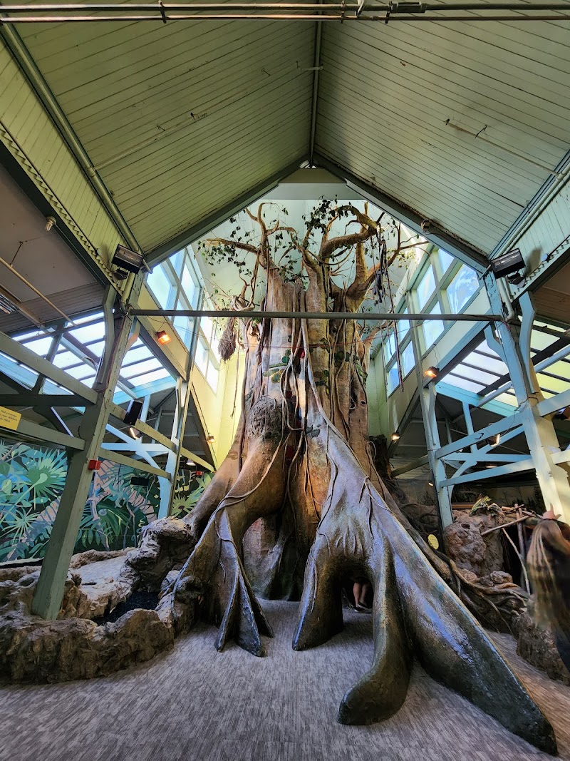 The Treehouse
