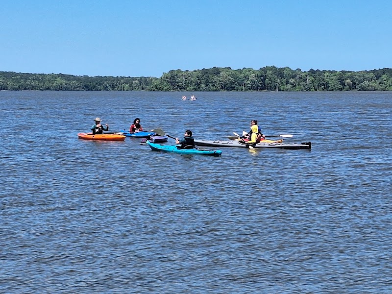 Frog Hollow Outdoors — Kayaking for Kids in Durham