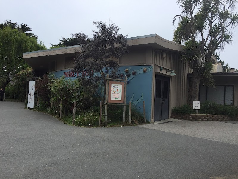 Insect Zoo — Petting Zoos in San Francisco