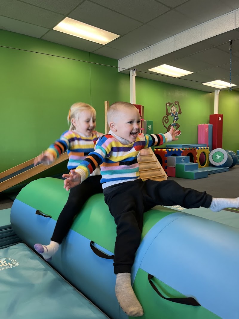 My Gym Children's Fitness Center Of Arvada