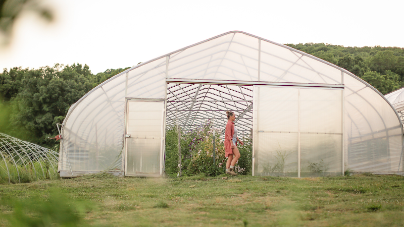 Bloomsbury Farm