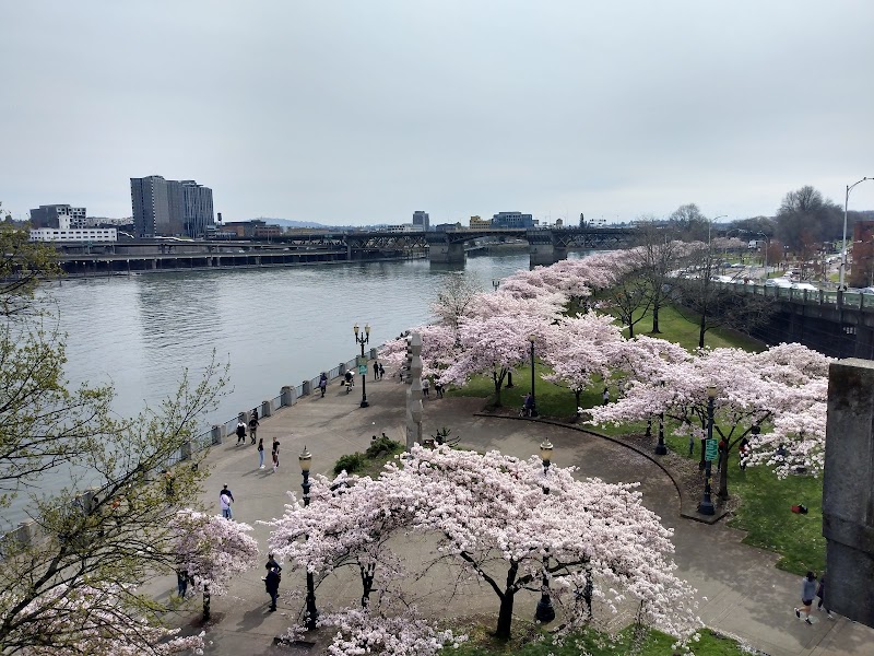 Tom McCall Waterfront Park