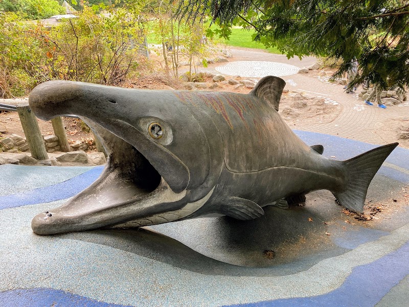 Salmon Slide - Carkeek Park Playground