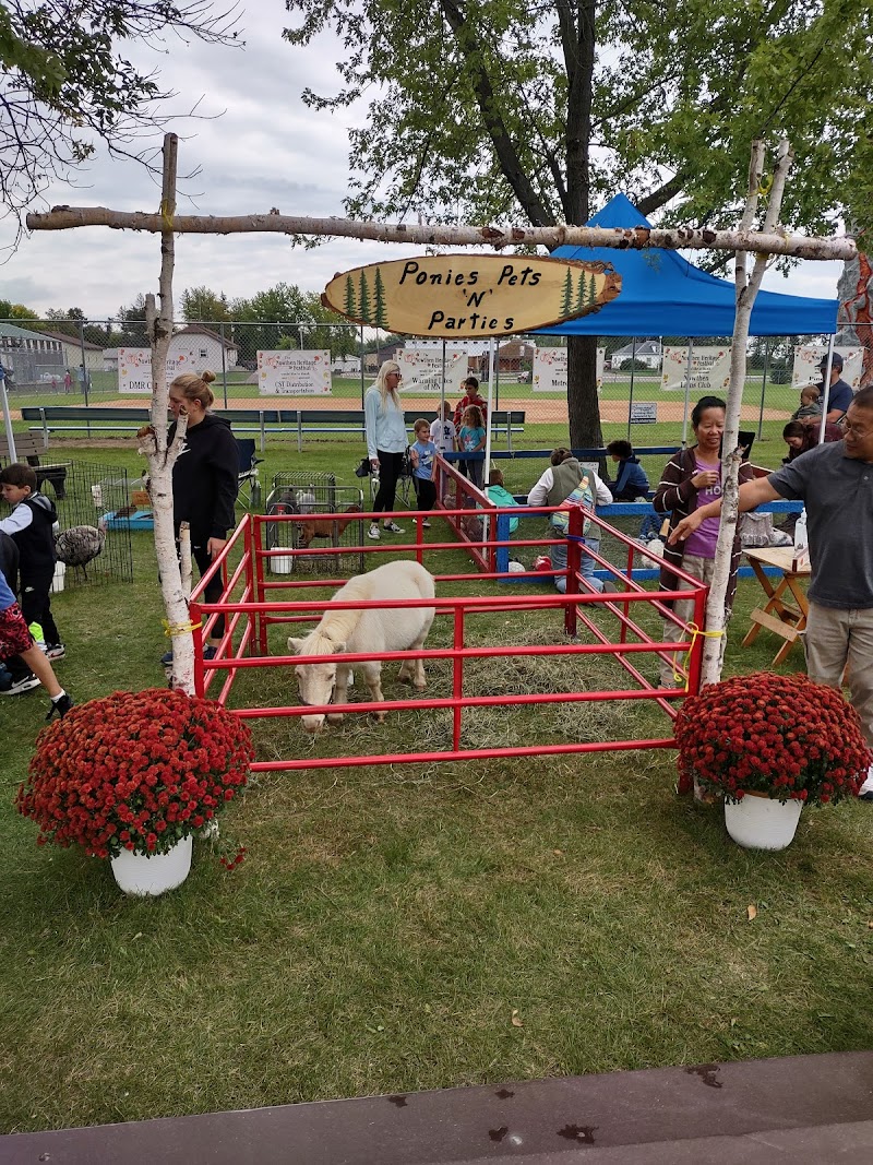 Ponies Pets N Parties