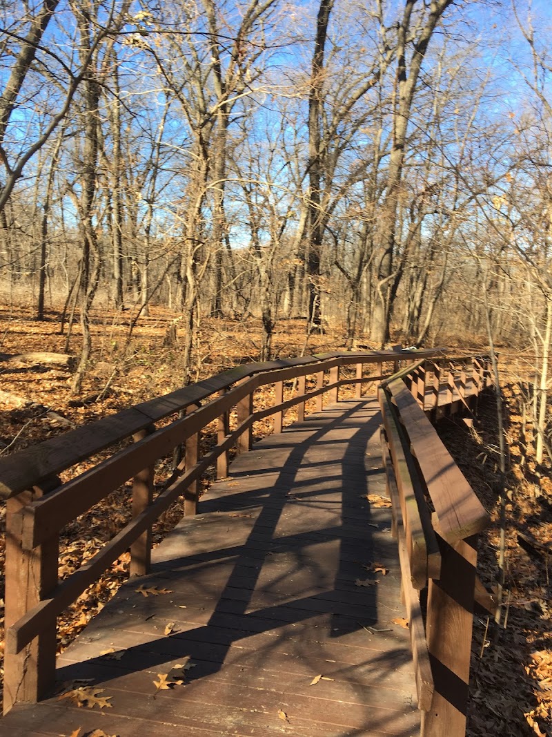 John F. Kennedy Memorial Forest — Hiking with Kids in St. Louis