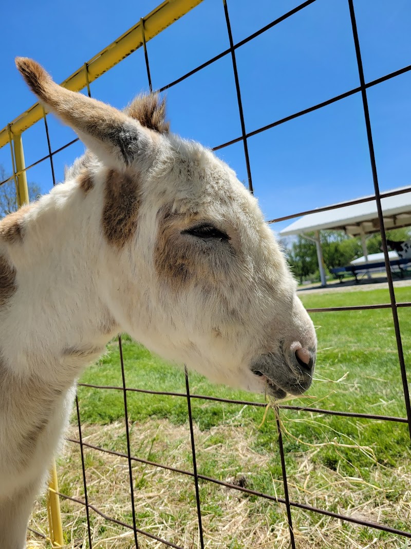 Green Meadows Petting Farm
