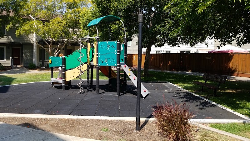 Playground — Thanksgiving Activities for Kids in Sunnyvale