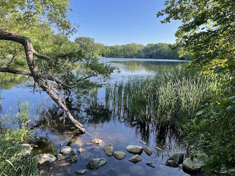 Brownie Lake Park — Hiking with Kids in Minneapolis