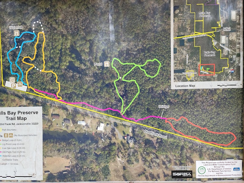 Bulls Bay Preserve — Hiking with Kids in Jacksonville